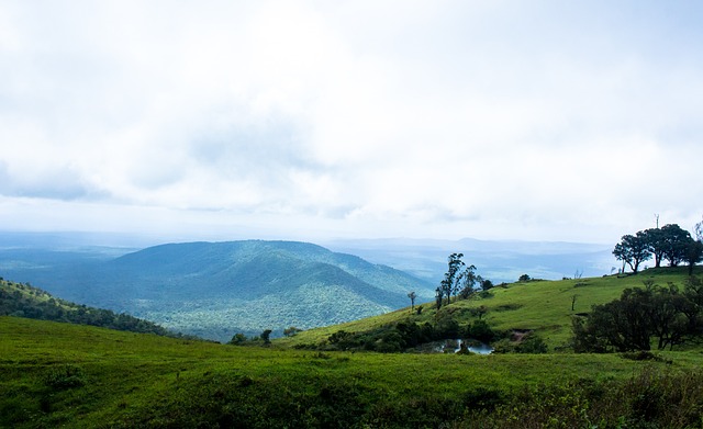 租穆阿尼 租穆阿尼
