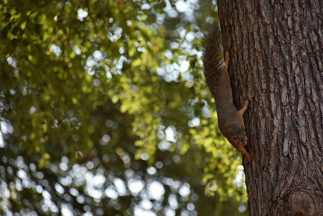 人防守不稳 人防守不稳