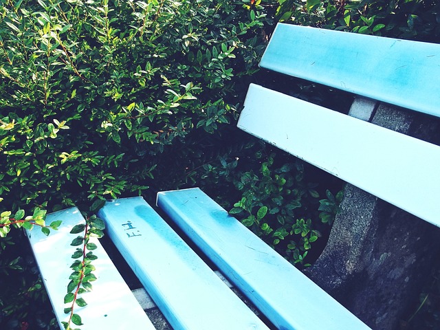 全球化视野 全球化视野