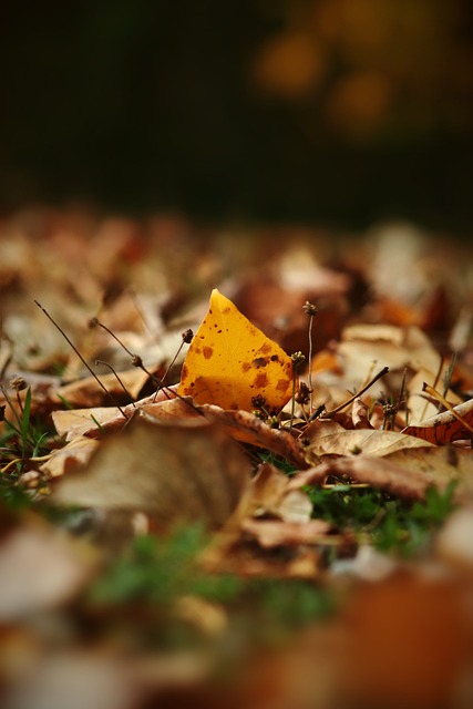 关键节点 关键节点