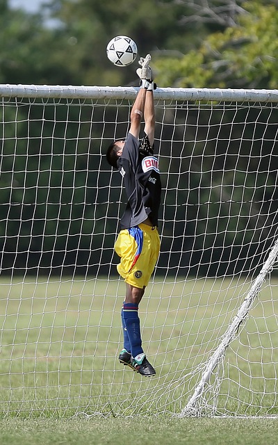 斯蒂法諾 斯蒂法諾