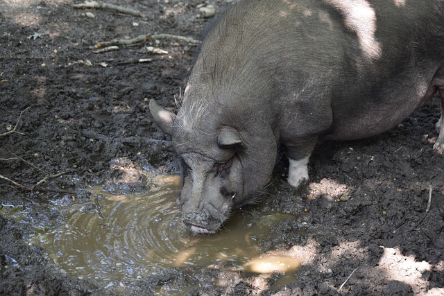牌门店的关 牌门店的关