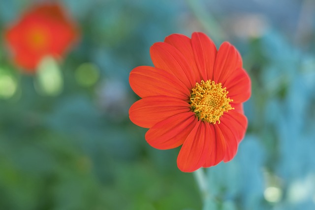 定个性化方 定个性化方