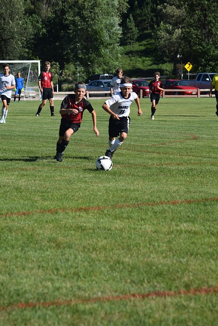 赛季中能看 赛季中能看