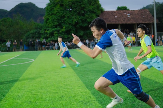 术的影响 术的影响