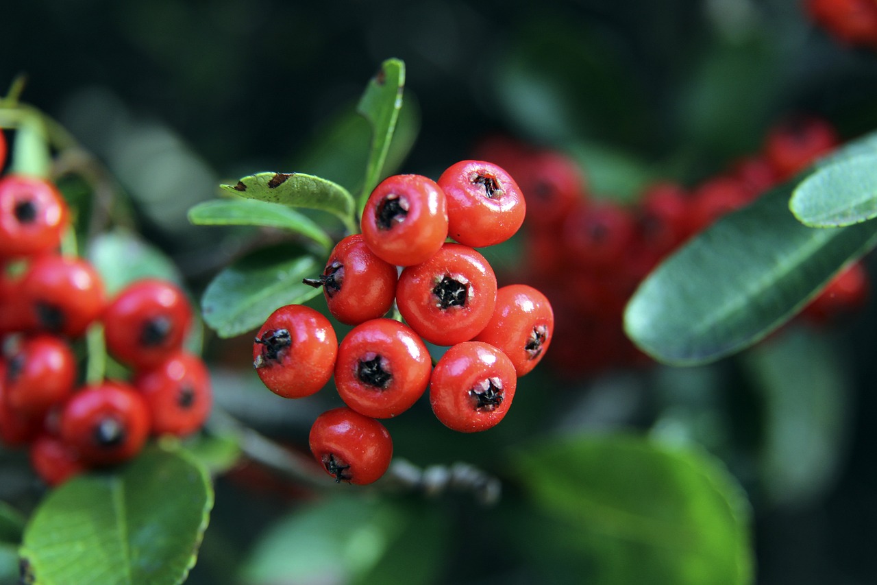 在积分榜首 在积分榜首