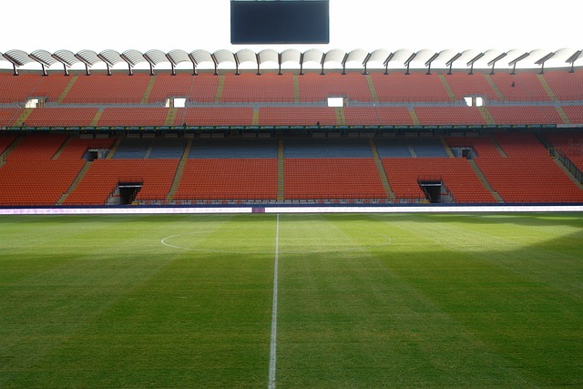 核心球员扎